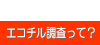 エコチル調査って？